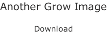 Another Grow Image  Download