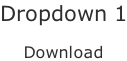 Dropdown 1  Download