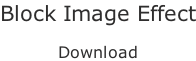 Block Image Effect  Download