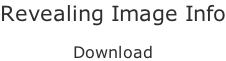 Revealing Image Info  Download