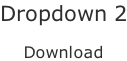 Dropdown 2  Download